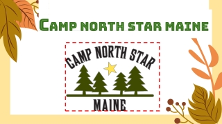 Article 02 JULY - Camp North Star Maine