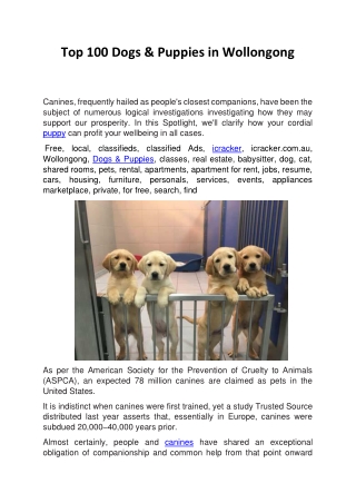 Top 100 Dogs & Puppies in Wollongong