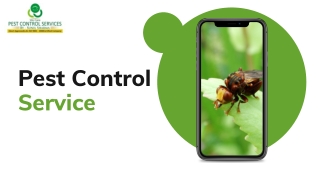 Pest Control Online