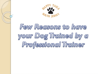 Few Reasons to have your Dog Trained by a Professional Trainer