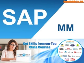 SAP MM Training In Noida