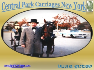 Central Park Carriages New York