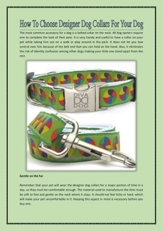 How To Choose Designer Dog Collars For Your Dog