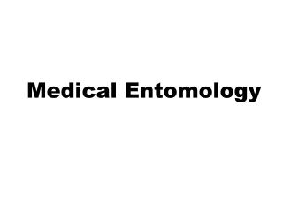 Medical Entomology