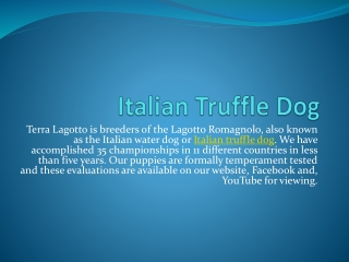 Italian Truffle Dog PPTS