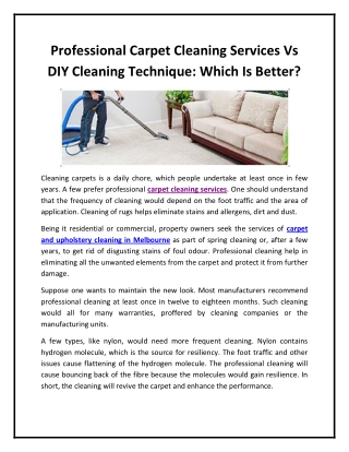 Professional Carpet Cleaning Services Vs DIY Cleaning Technique Which Is Better