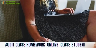 Best Audit Class on Online For Student