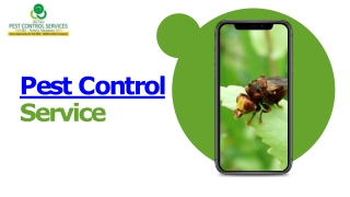 Pest Control Online