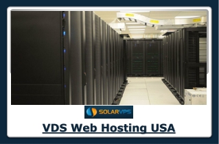 VDS Web Hosting USA