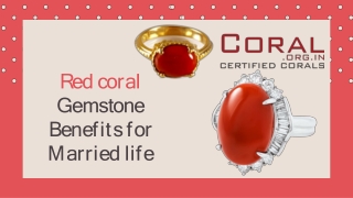 Red coral  Gemstone  Benefits for  Married life