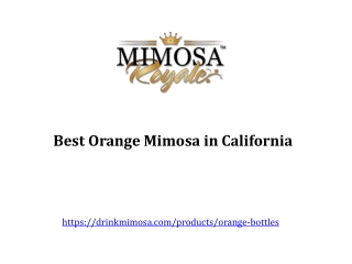 Orange Mimosa in California