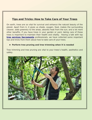 What Are the Ideas for Preventing Trees Diseases and Caring for Them Properly?