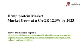 Hemp Protein Market