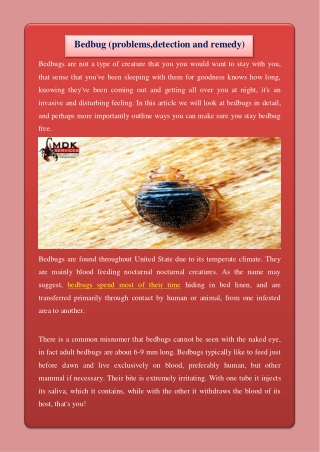 Bedbug (problems,detection and remedy)