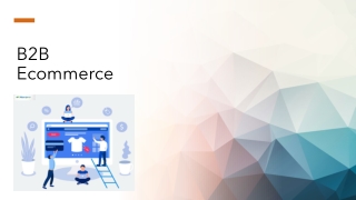 B2B Ecommerce
