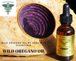 Wild Oregano Extracted Oil