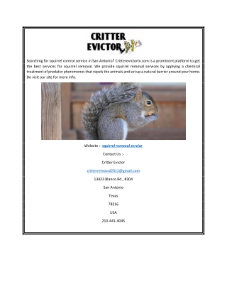 Squirrel Removal Service  Critterevictortx.com