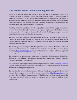 The Need of Professional Plumbing Services