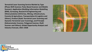 Terrestrial Laser Scanning Service Market