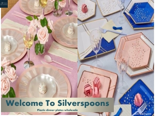 Plastic dinner plates wholesale