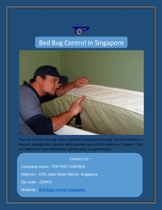 Bed Bug Control in Singapore