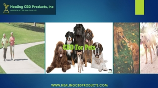 Best Quality CBD Products Online - Healing CBD Products