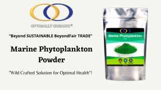Marine Phytoplankton Powder