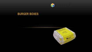 Burger Boxes Wholesale PPT