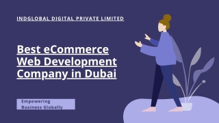 Best eCommerce Web Development Company in Dubai (2)