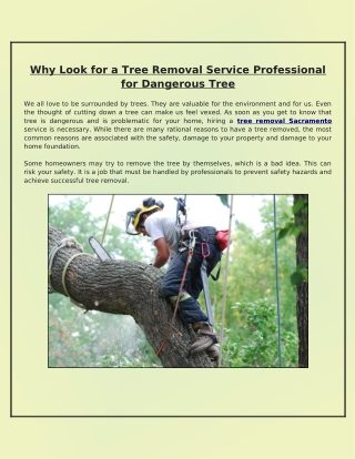 Why Is It Important to Contact a Tree Removal Company for Problematic Trees?