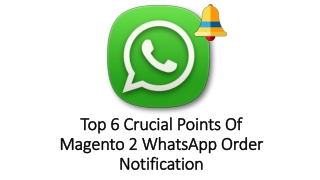 Top 6 Crucial Points About Magento 2 WhatsApp Order Notification