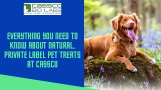 Everything You Need To Know About Natural, Private Label Pet Treats at CassCo