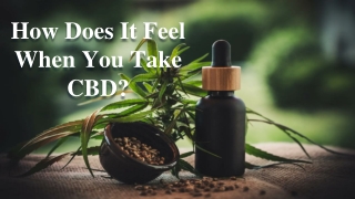 How Does It Feel When You Take CBD_