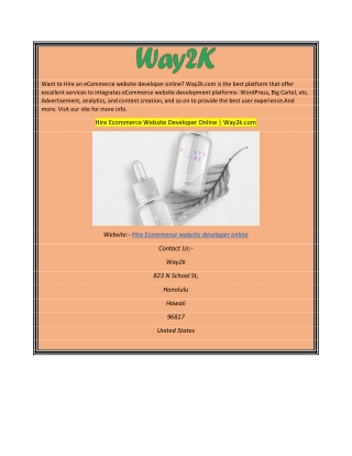 Hire Ecommerce Website Developer Online Way2k.com