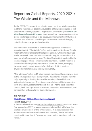 Report on Global Reports, 2020-2021 - The Whale and the Minnows