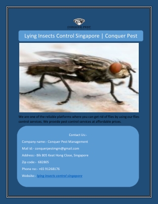 Lying Insects Control Singapore | Conquer Pest