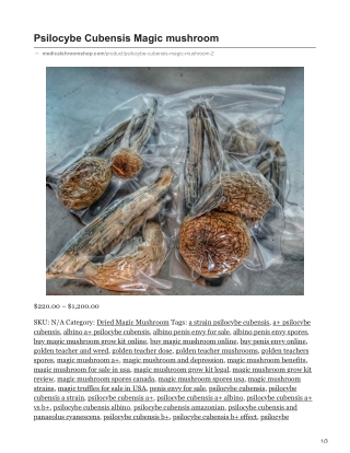 Psilocybe Cubensis Magic Mushroom
