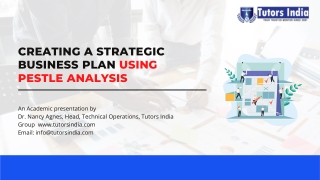 Utilizing PESTLE Analysis for Strategy  Business Plan PDF