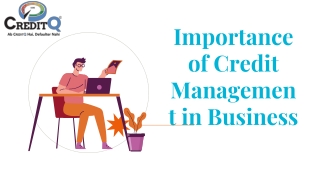 Importance of Credit Management in Business