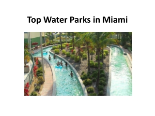 Top Water Parks in Miami