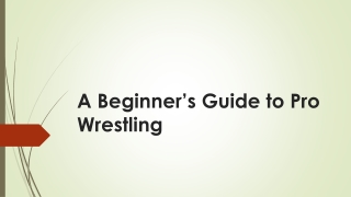 A Beginner’s Guide to Pro Wrestling
