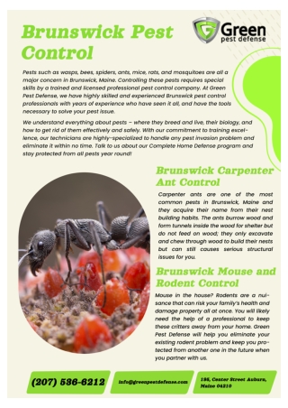 Auburn pest control|  Lewiston exterminator