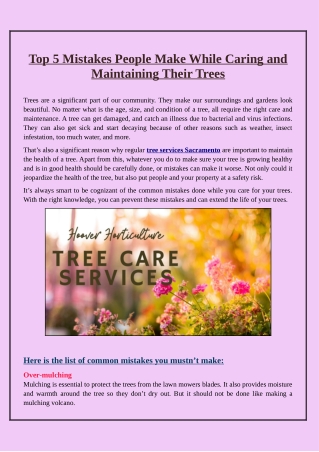 What Blunders Should You Avoid When It Comes to Tree Care and Maintenance?