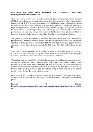 Rice Husk Ash Market Scope Assessment 2030 | Agrilectric Power,Agrisil Holding,J