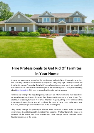 Hire Professionals to Get Rid Of Termites in Your Home