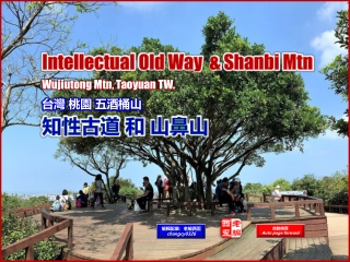 Intellectual Old Way & Shanbi Mtn, Wujiutong Mtn. Taoyuan, TW. (台灣 桃園 五酒桶山，知性古道 和 山鼻山)