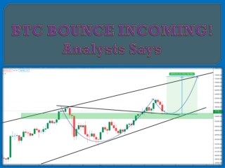 BTC BOUNCE INCOMING! Analysts Says