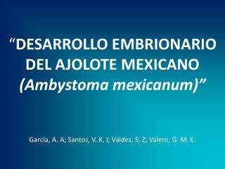 “ DESARROLLO EMBRIONARIO DEL AJOLOTE MEXICANO (Ambystoma mexicanum)” García, A. A; Santos, V. K. I; Valdez, S. Z; Valer