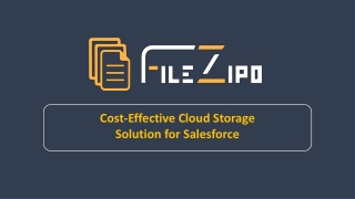 FileZipo - Cost- Effective Cloud Storage Solution For Salesforce