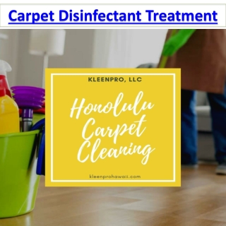 Carpet Disinfectant Treatment